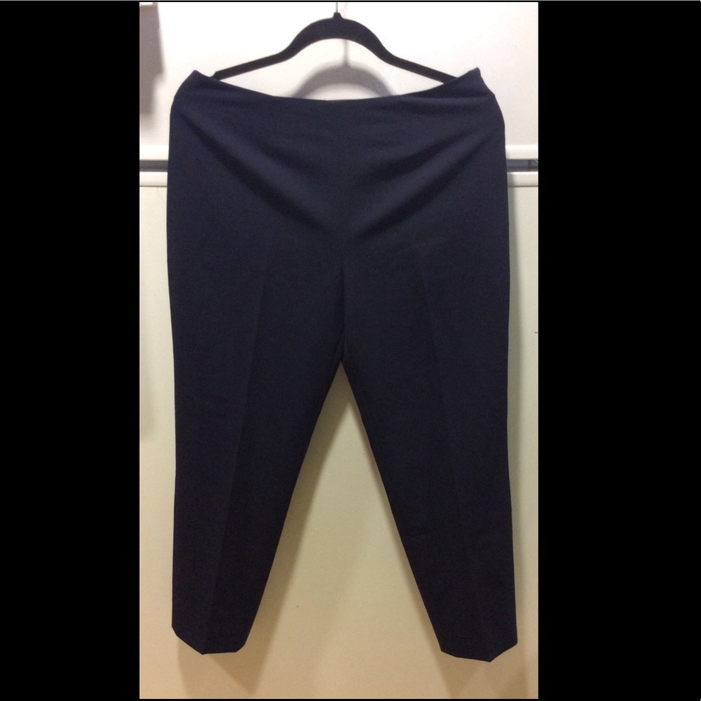 Dress pants